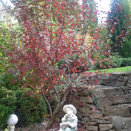 Cecey Vendeghaz Bed & Breakfast Eğri Dış mekan fotoğraf
