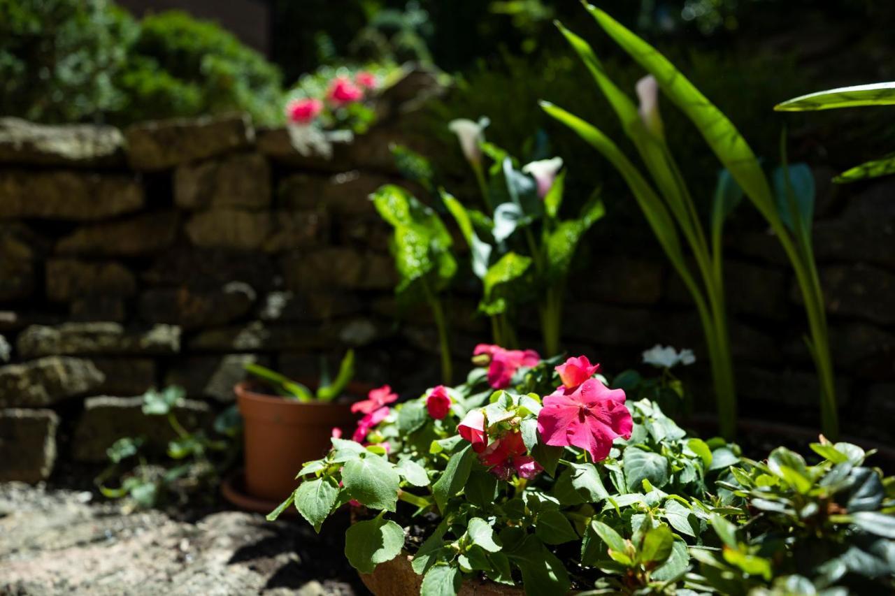 Cecey Vendeghaz Bed & Breakfast Eğri Dış mekan fotoğraf