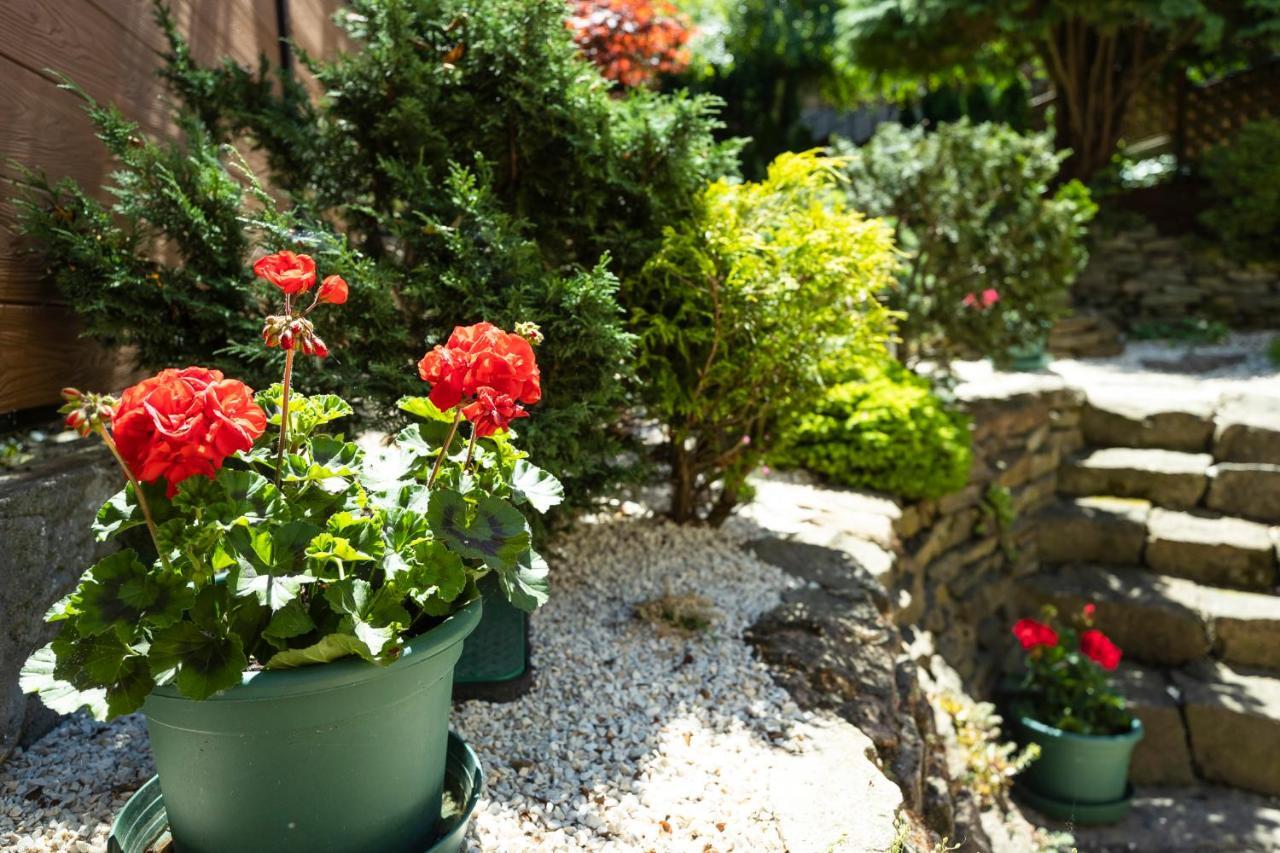 Cecey Vendeghaz Bed & Breakfast Eğri Dış mekan fotoğraf
